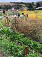 2024-10-10-Hottenbach-009