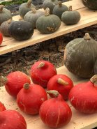 2024-10-10-Hottenbach-011