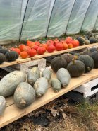 2024-10-10-Hottenbach-012