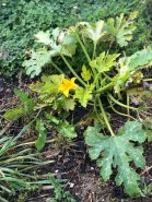 2024-10-10-Hottenbach-023